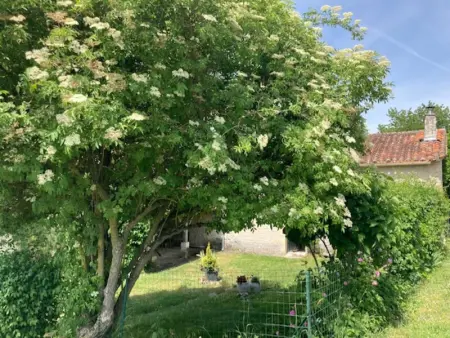 Gîte familial avec piscine, jardin clos, équipements bébé, animaux acceptés, Chadurie - Photo 29