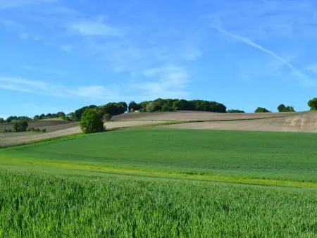 Gîte familial avec piscine, jardin clos, équipements bébé, animaux acceptés, Chadurie - Photo 33