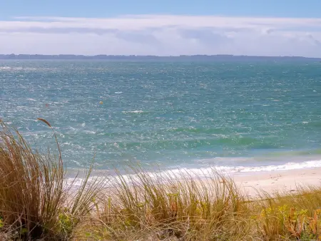 Appartement T3 avec Terrasse, Proche Plage et Commerces à Larmor-Plage - Photo 17