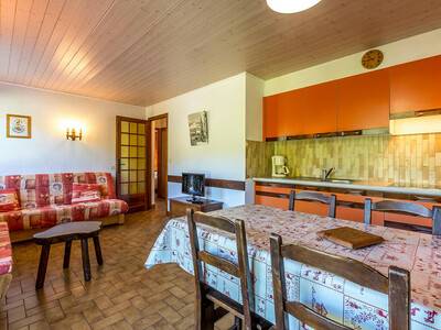Location Appartement à La Clusaz,Rez de chalet au calme avec terrasse - 2 chambres FR-1-437-10 N°900030