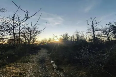 HORTENSIAS, Chalet 4 personnes à SOMME LEUZE - Photo 27