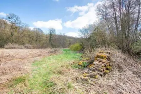 HORTENSIAS, Chalet 4 personnes à SOMME LEUZE - Photo 31