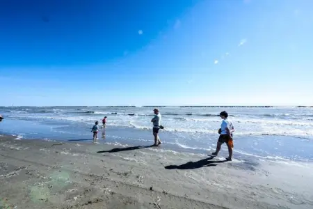 Antares Cesenatico, Gite 5 personnes à Cesenatico - Photo 23