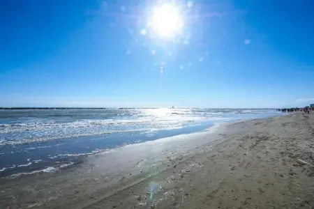 Antares Cesenatico, Gite 5 personnes à Cesenatico - Photo 27
