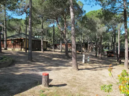 Villa en bois, Maison 8 personnes à Calvi - Photo 26