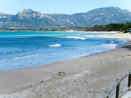 Villa en bois, Maison 8 personnes à Calvi - Photo 29