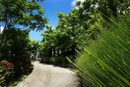 Appartamento Sonia, Appartement 4 personnes à Poppi - Photo 15