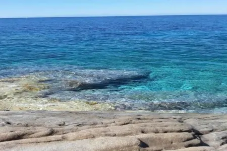 Appartamento Sonia, Appartement 4 personnes à Poppi - Photo 23