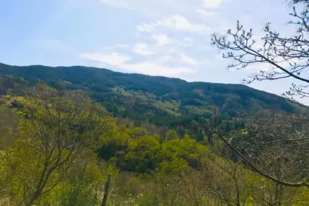 Appartamento Sonia, Appartement 4 personnes à Poppi - Photo 27