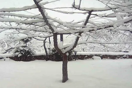 La Curiosa, Vacances à la ferme avec terrasse dans les montagnes de Almeria - Photo 24
