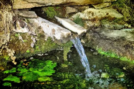 La Curiosa, Vacances à la ferme avec terrasse dans les montagnes de Almeria - Photo 38