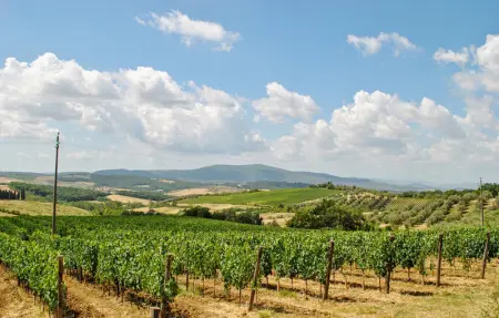 Casa Umiliati, Maison 9 personnes à Castellina in Chianti - Photo 43
