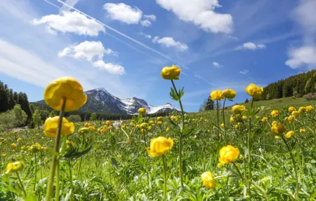 Location Appartement 6 personnes à Stenico - Photo 5