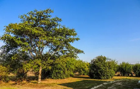 Location Maison 3 personnes à St Chamassy - Photo 1