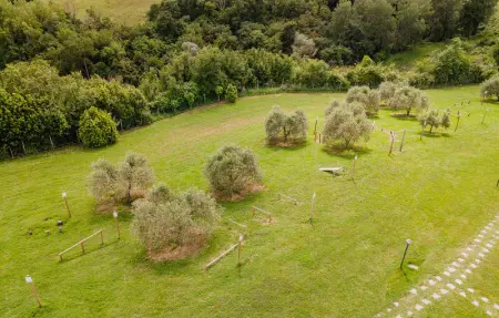 Location Maison 4 personnes à Montaione - Photo 42