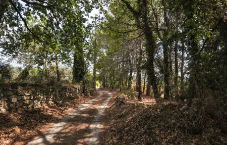 Location Maison 9 personnes à Fayence - Photo 33