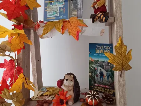 Gîte spacieux près du zoo de Beauval avec cour privative, terrasse, et équipements complets - Photo 8