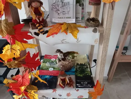 Gîte spacieux près du zoo de Beauval avec cour privative, terrasse, et équipements complets - Photo 9