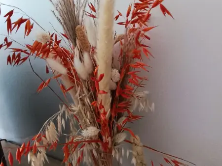 Gîte spacieux près du zoo de Beauval avec cour privative, terrasse, et équipements complets - Photo 10