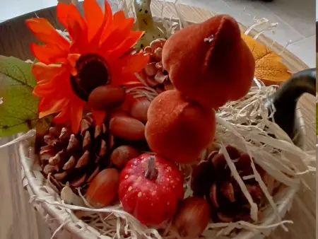 Gîte spacieux près du zoo de Beauval avec cour privative, terrasse, et équipements complets - Photo 11