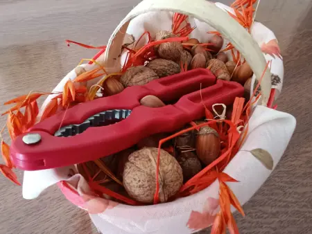 Gîte spacieux près du zoo de Beauval avec cour privative, terrasse, et équipements complets - Photo 12