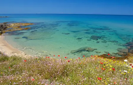 Location Maison 5 personnes à Viddalba - Photo 17