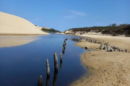 Villas Club Royal Aquitaine 3, Belle villa avec piscine privée, à 900 m de la plage - Photo 16