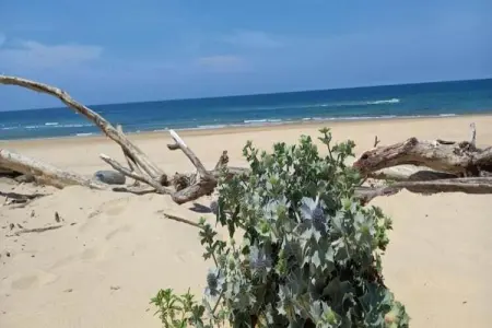 Villas Club Royal Aquitaine 3, Belle villa avec piscine privée, à 900 m de la plage - Photo 18