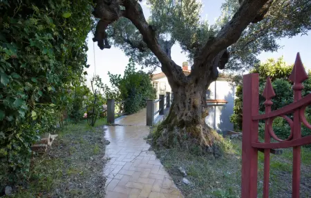 Location Maison 9 personnes à Rende - Photo 9