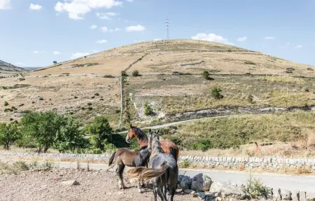 Location Maison 15 personnes à Ragusa - Photo 6