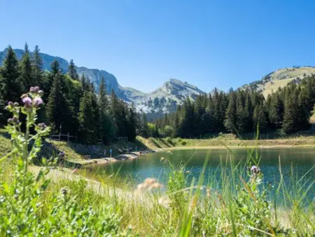 Maison moderne et chaleureuse au cœur du village avec mezzanine et poêle à bois - Photo 12