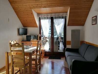 Location Appartement à Villard de Lans,Joli studio mezzanine au cœur du village FR-1-548-28 N°901037