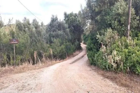 Vivenda Mira, Spacieuse 2 chambres Villa avec piscine privée près de Meia Praia et Lagos. - Photo 26