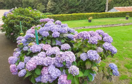 Location Maison 6 personnes à Saint Carreuc - Photo 11