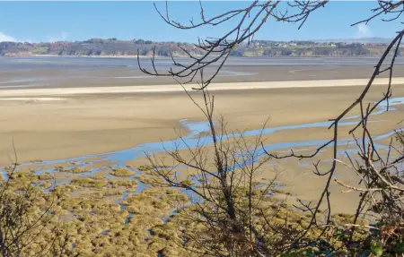 Location Maison 6 personnes à Saint Carreuc - Photo 19