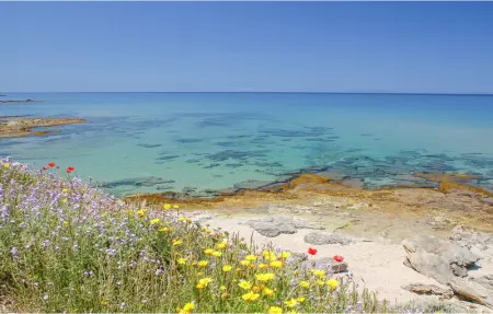 Location Appartement 4 personnes à Punta Su Turrione - Photo 5