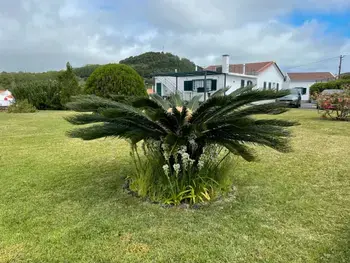 House in Fajã de Baixo,Villa 2 545358 N°746833