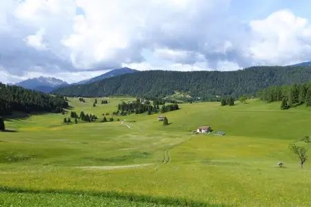 Baita Silana, Chalet 7 personnes à Pieve Tesino - Photo 32