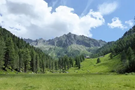 Baita Silana, Chalet 7 personnes à Pieve Tesino - Photo 33