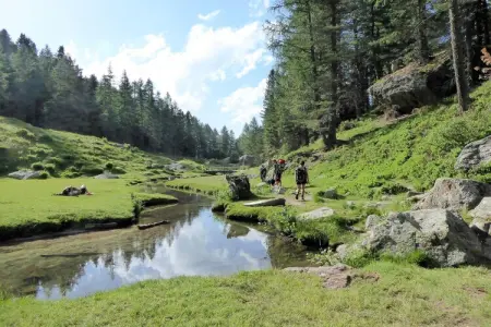 Baita Silana, Chalet 7 personnes à Pieve Tesino - Photo 36