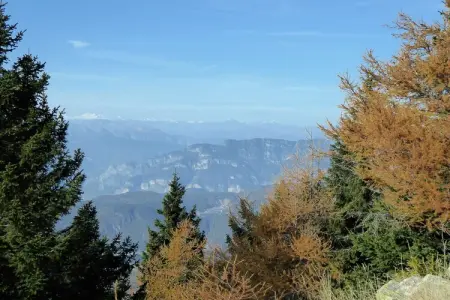 Baita Silana, Chalet 7 personnes à Pieve Tesino - Photo 37