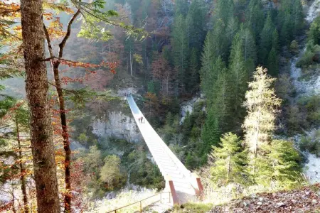 Baita Silana, Chalet 7 personnes à Pieve Tesino - Photo 39