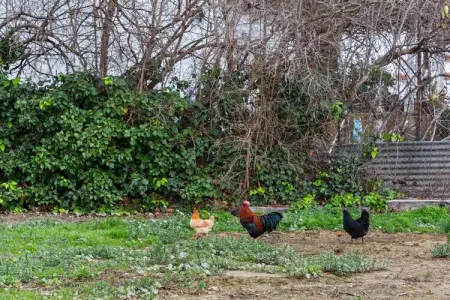 Apartamento Loft Sorrapa, Belle maison de vacances à Deltebre près de la plage - Photo 32