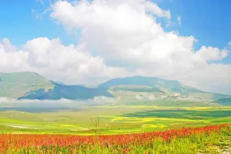 Villa Faggio 8, Villa 8 personnes à Amandola - Photo 36