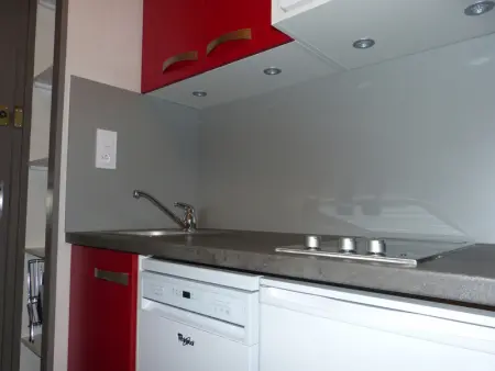 Studio cozy aux pieds des pistes, balcon, animaux admis - Photo 5