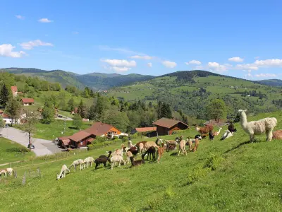 Casa rural en La Bresse,Chalet familial à La Bresse, proche randonnées, WIFI, animaux admis FR-1-589-425 N°857535