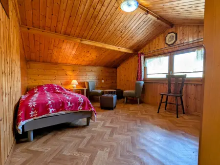 Chalet familial à La Bresse, proche randonnées, WIFI, animaux admis - Photo 11