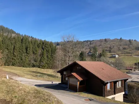 Chalet familial à La Bresse, proche randonnées, WIFI, animaux admis - Photo 16