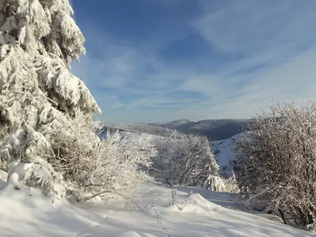 Chalet familial à La Bresse, proche randonnées, WIFI, animaux admis - Photo 19