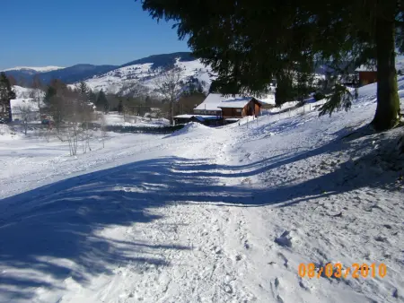 Chalet familial à La Bresse, proche randonnées, WIFI, animaux admis - Photo 20